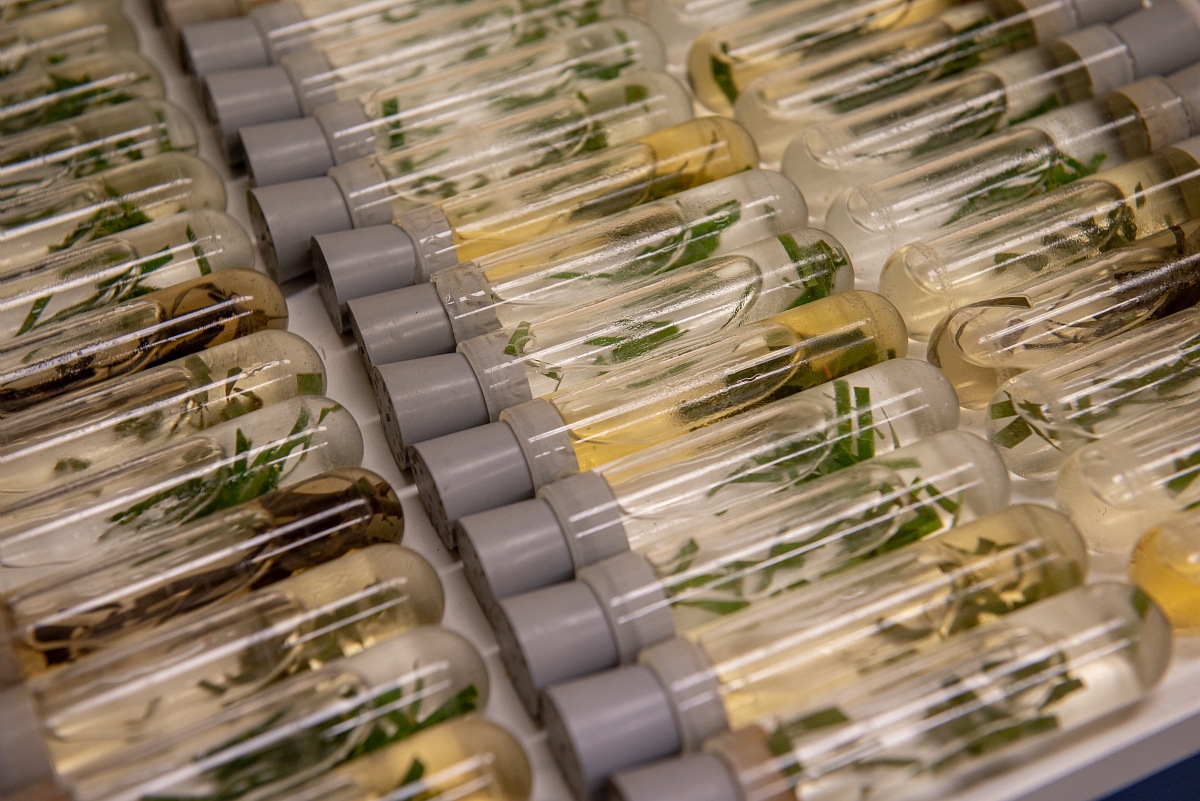 Rechercher une ressource biologique