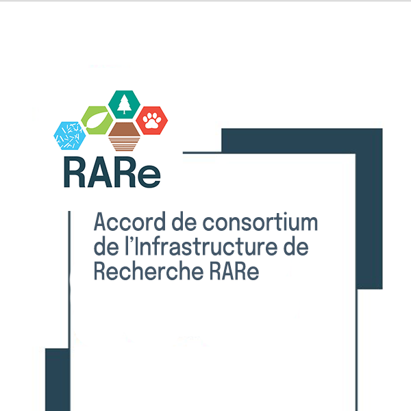 @RARe