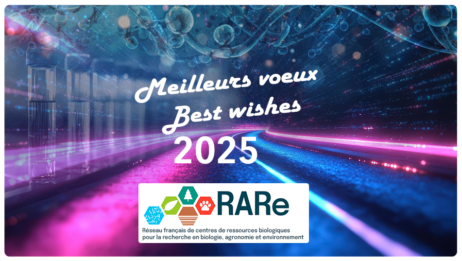 Voeux2025_RARe