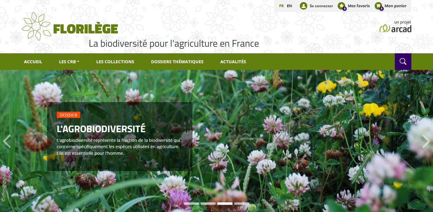 Florilège portail Florilège portail