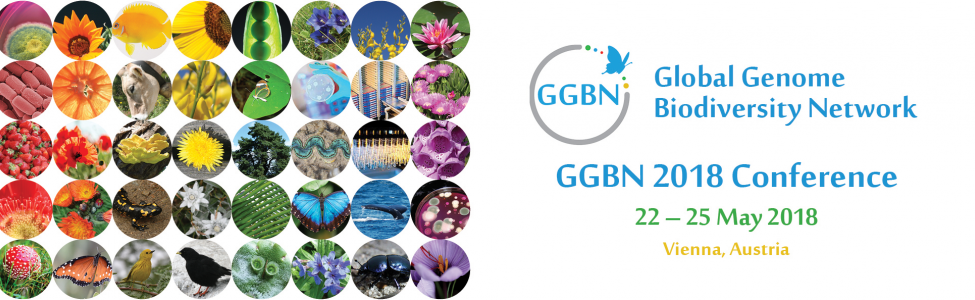 GGBN
