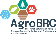 AgroBRC_vertical-RVB