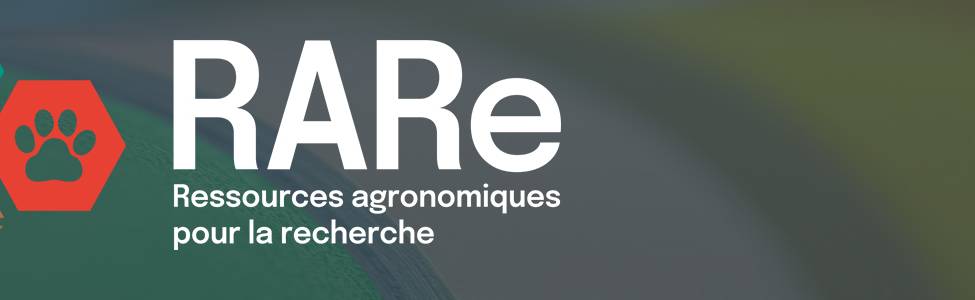 RARe - Ressources agronomiques pour la recherche
