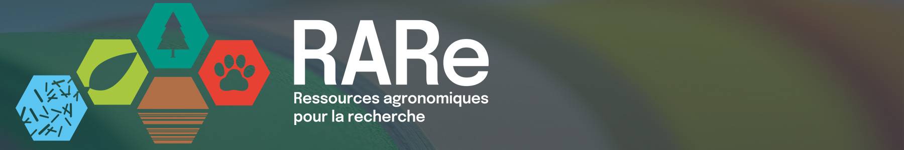 RARe - Ressources agronomiques pour la recherche