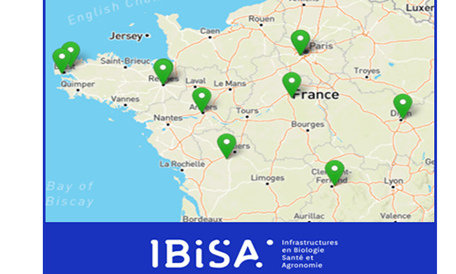 IBiSA