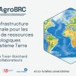 @RARe - Webinaire Institut Carnot AgriFood transition