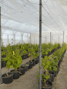 IMG_20230407_083920-web.gif IMG_20230407_083920-web.gif