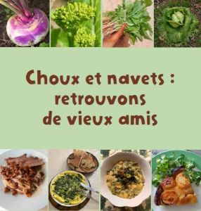 BrACySol_recettes