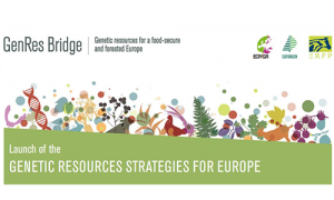 @ H2020 GenRes Bridge project @ H2020 GenRes Bridge project