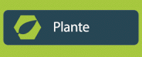 Pilier Plante