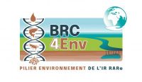 BRC4Env