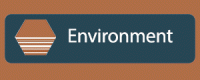 Environment pillar 