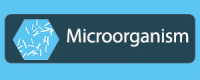 Microorganism pillar