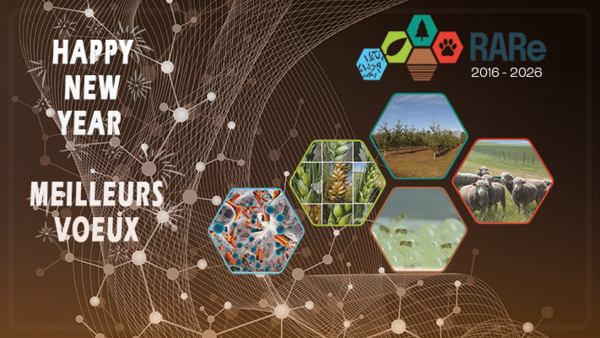 Voeux-RARe-2026_def.png