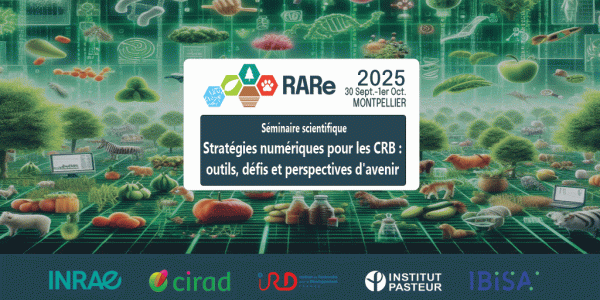 Séminaire scientifique RARe 2025