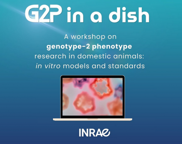 EuroFAANG G2P in a dish