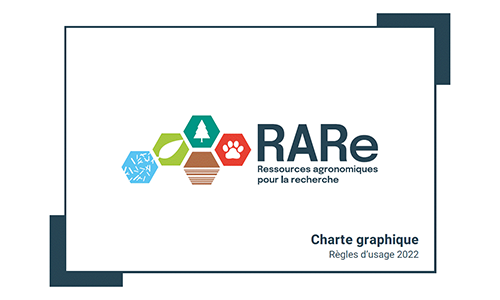 L’infrastructure RARe se dote de nouveaux logos 